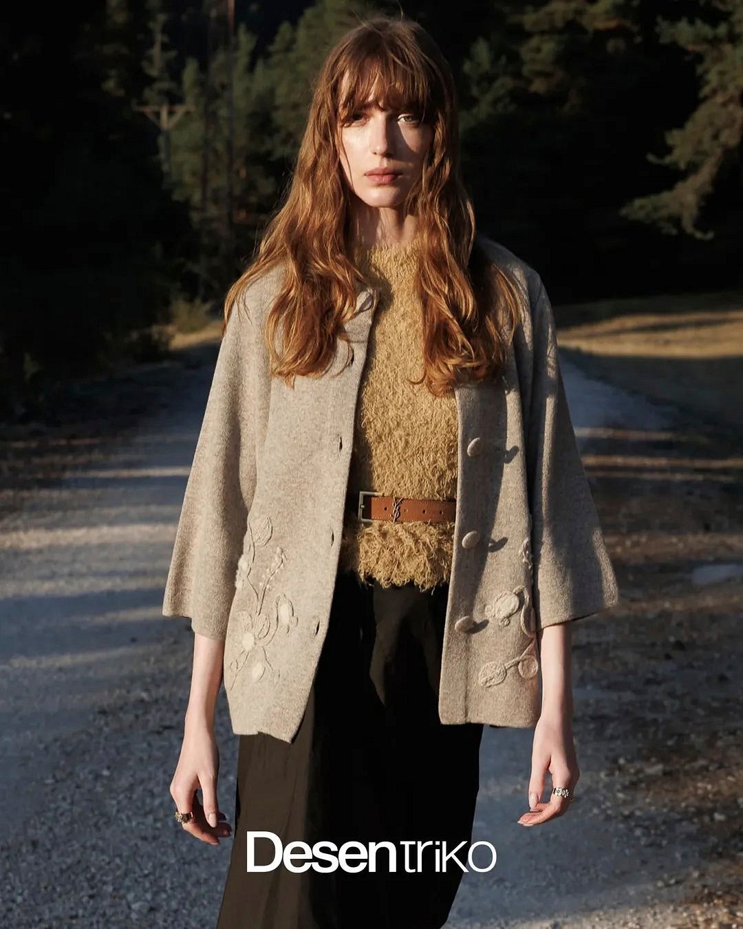 Model Image