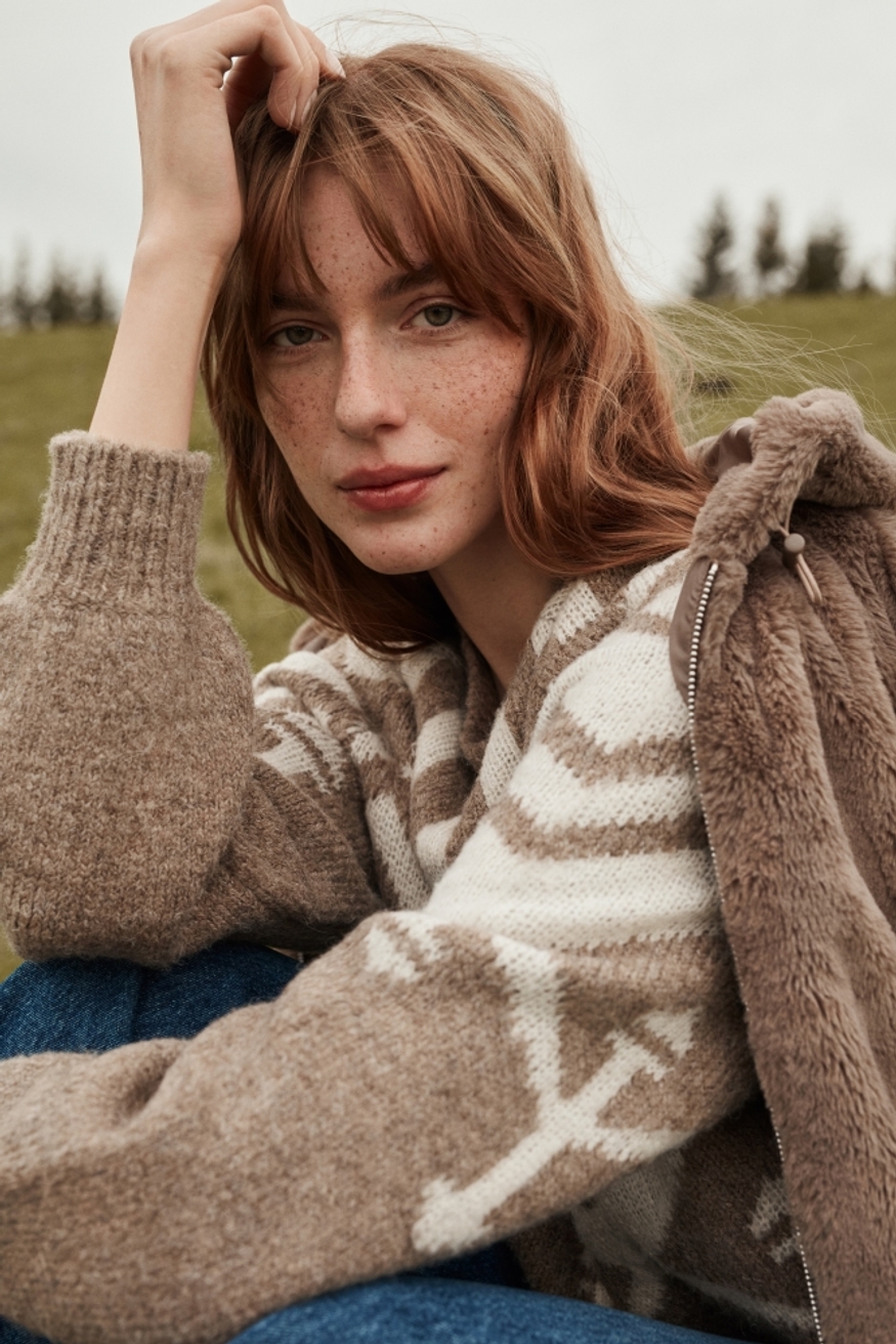 Model Image