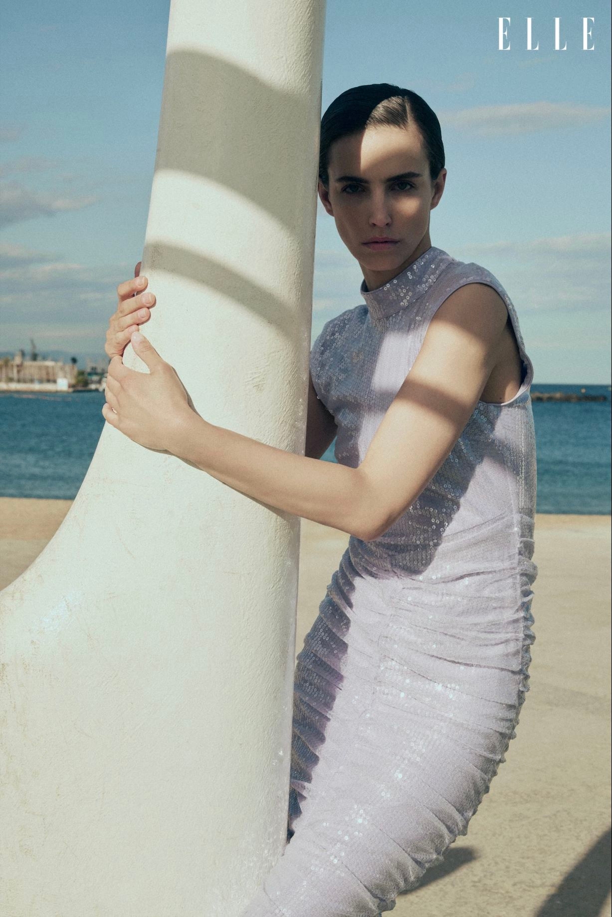 Model Image