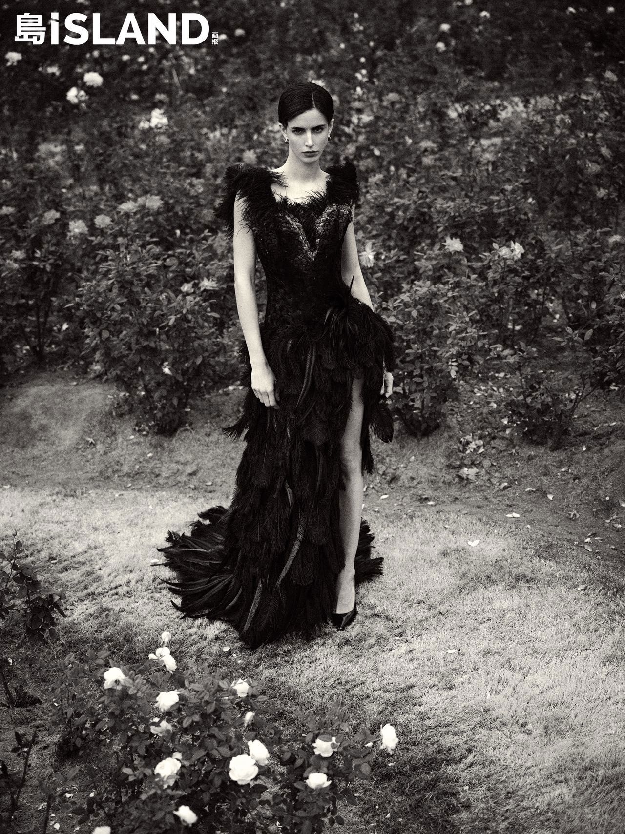 Model Image
