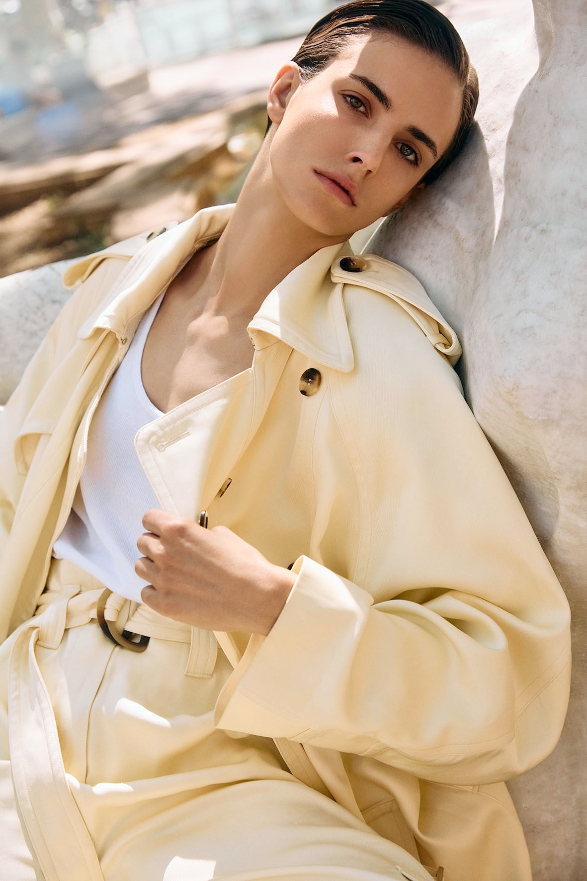 Model Image