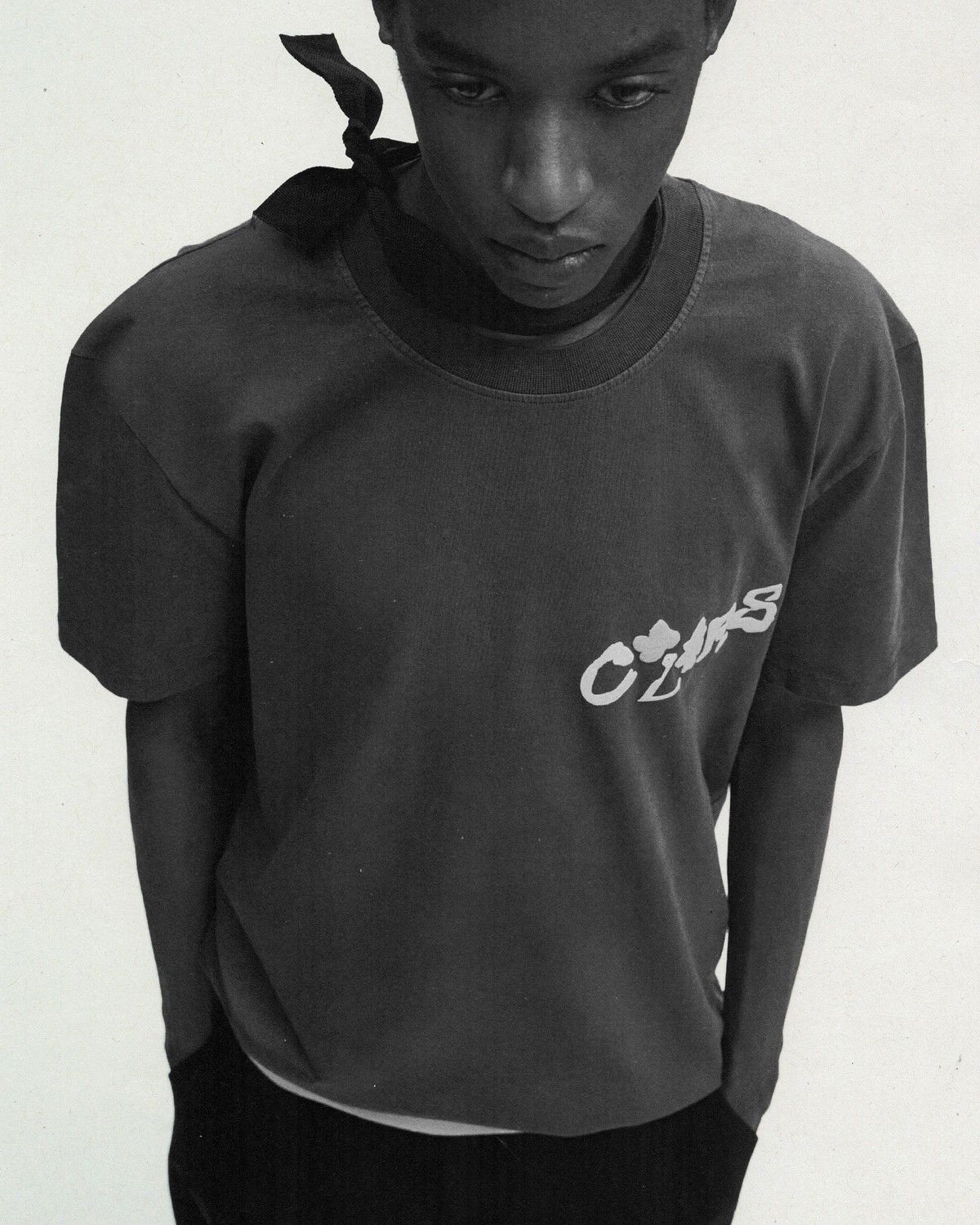 Model Image