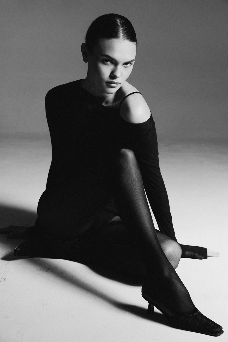 Model Image