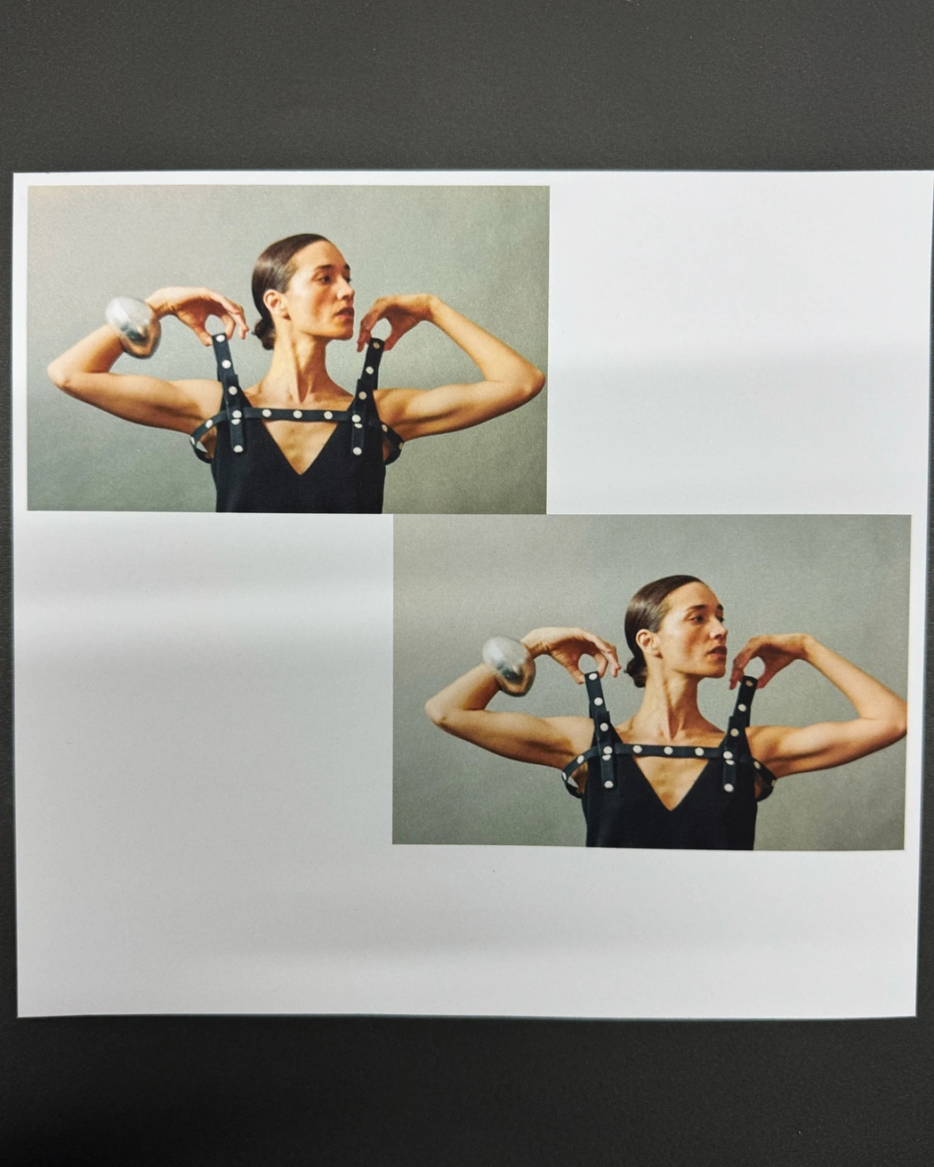 Model Image