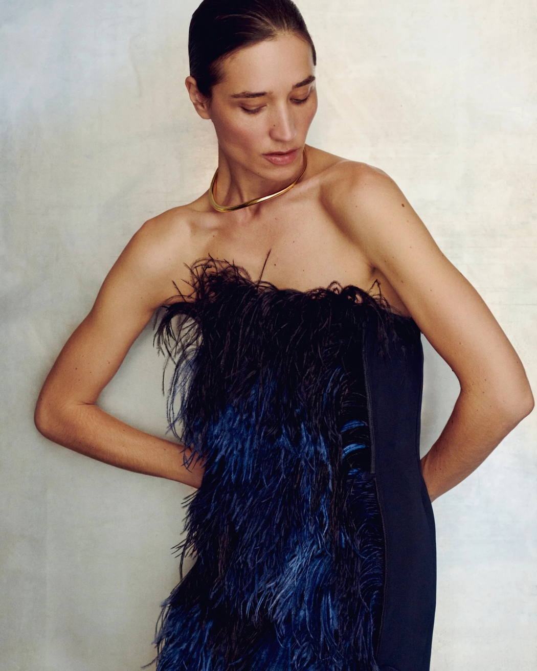Model Image