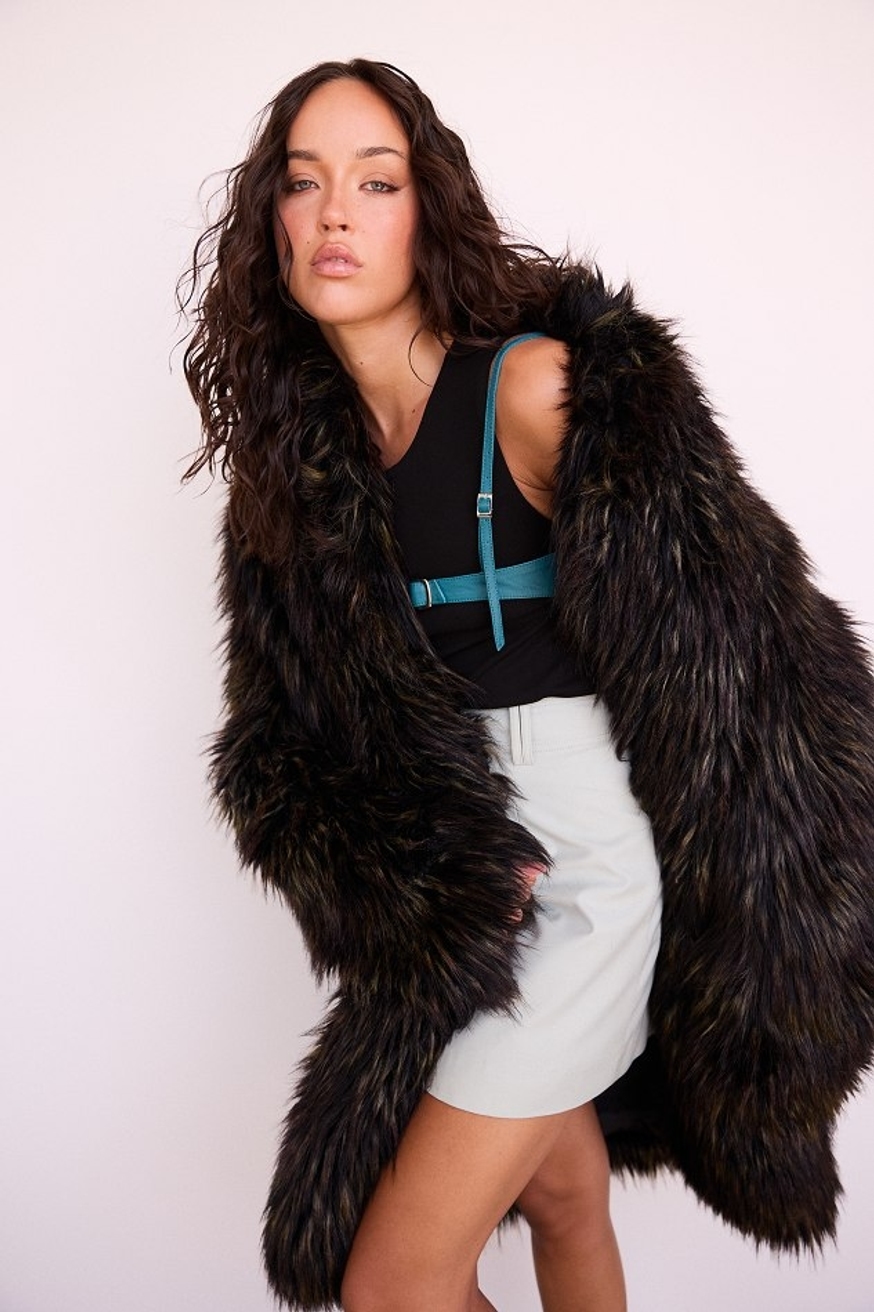 Model Image