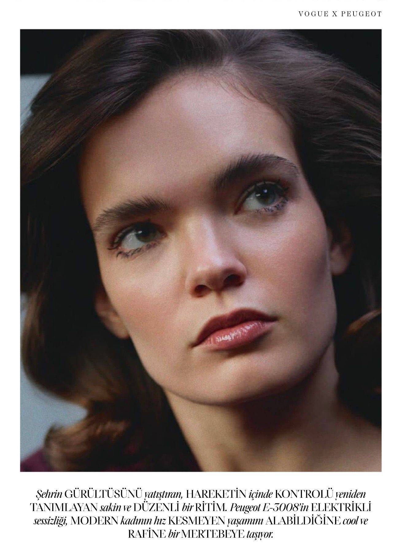 Model Image