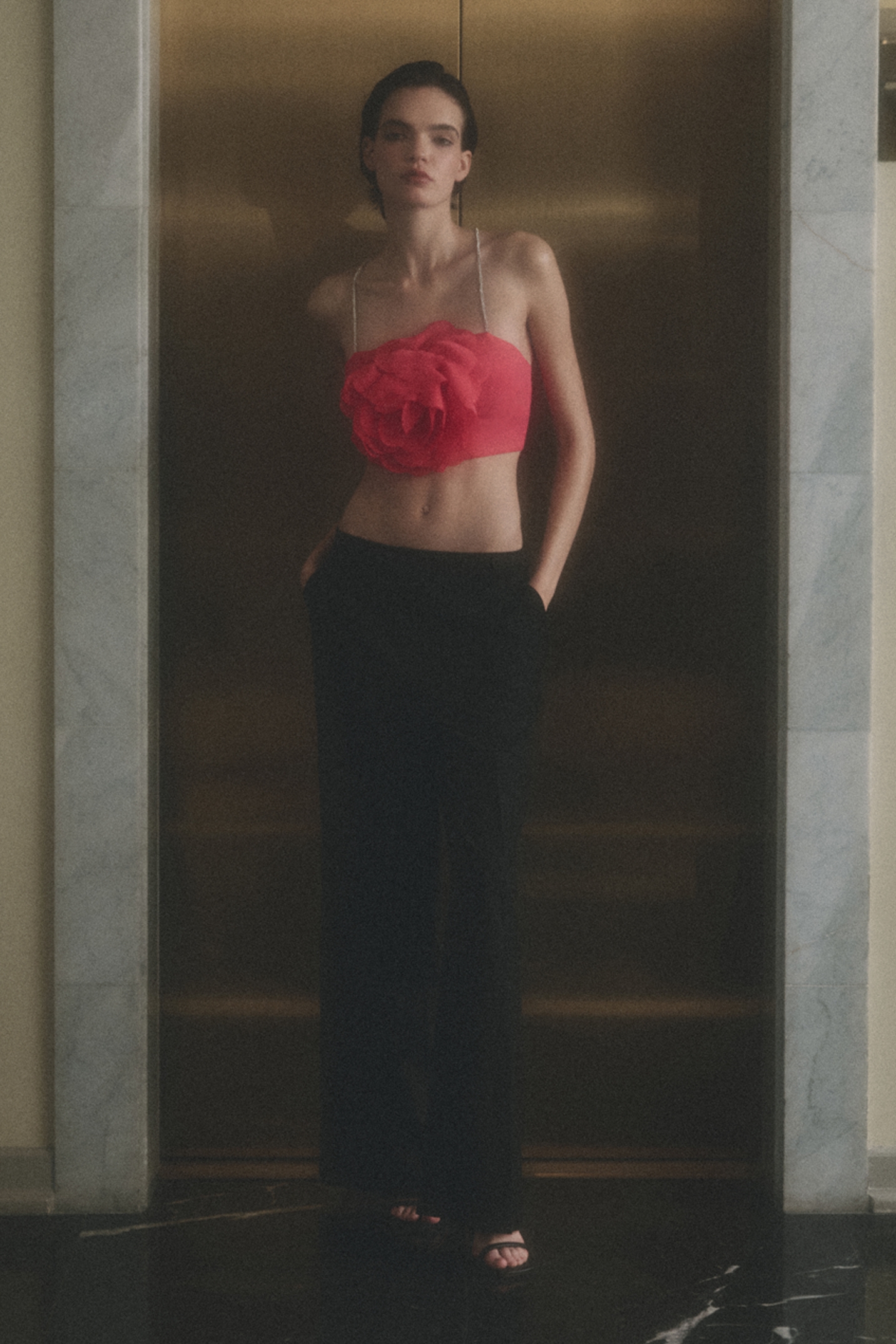 Model Image