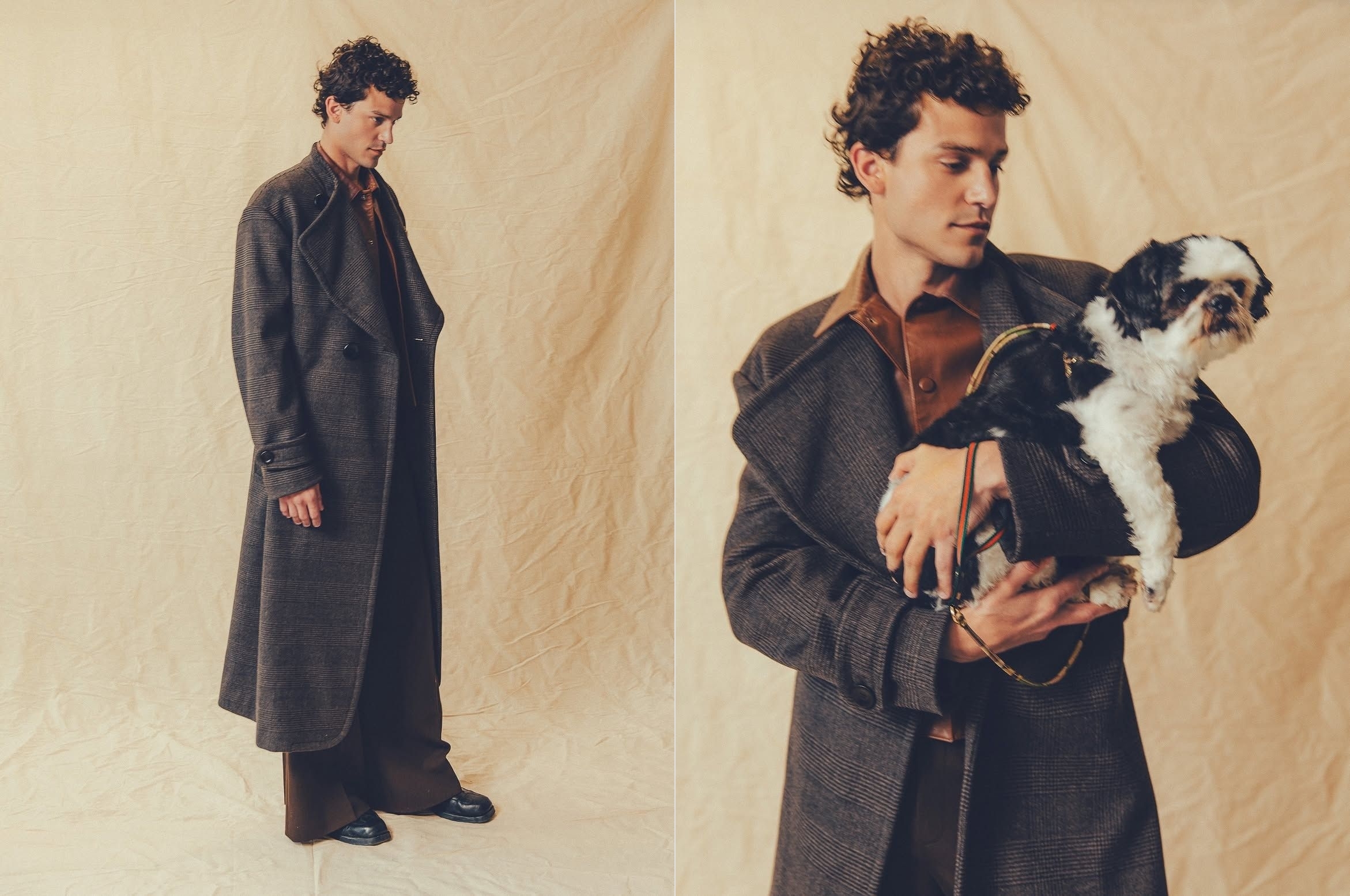 Model Image