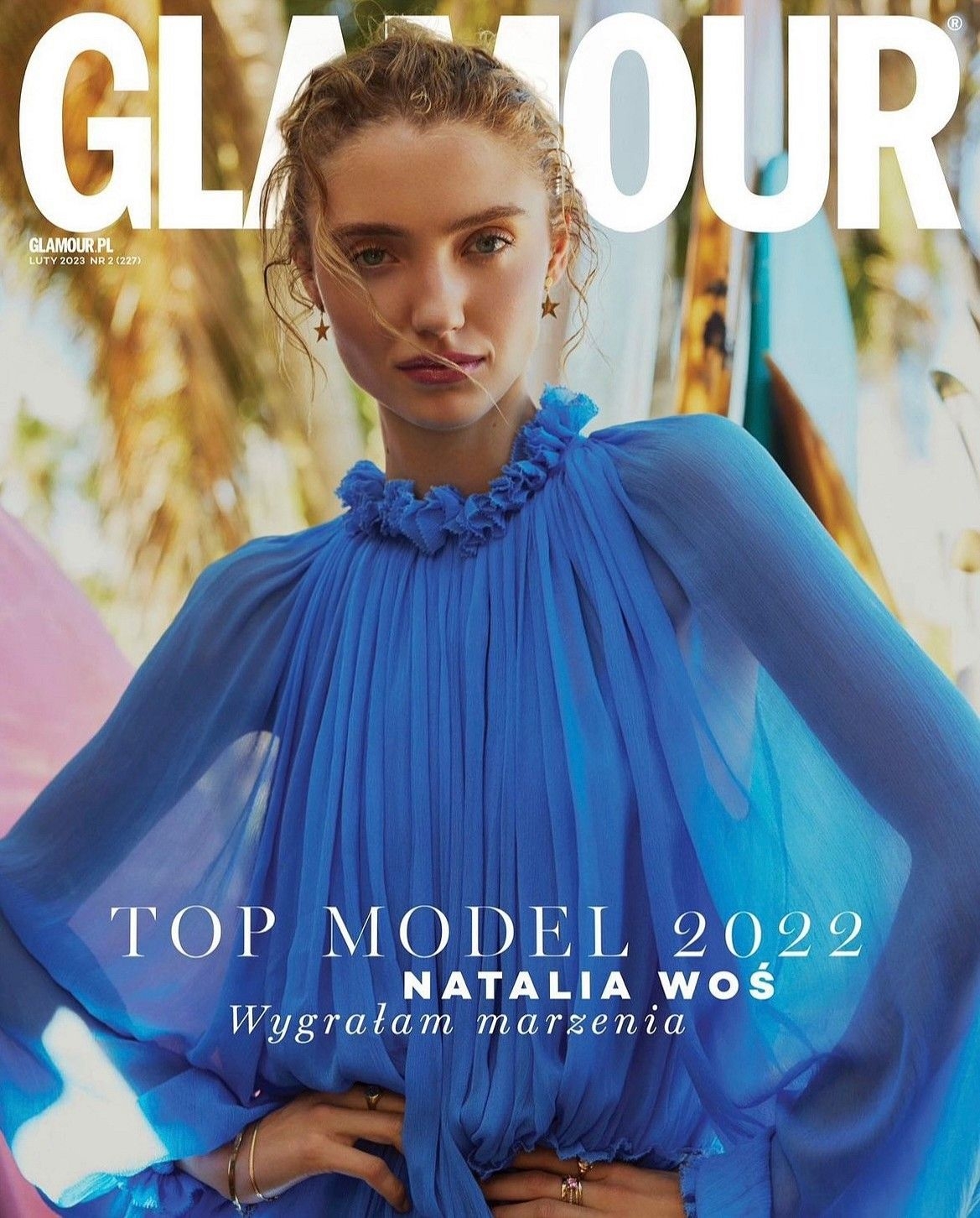 Model Image