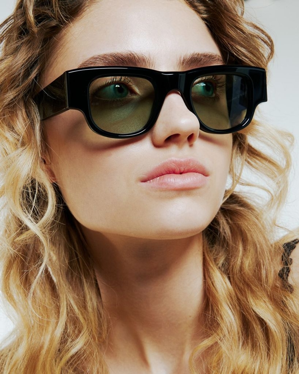 Model Image