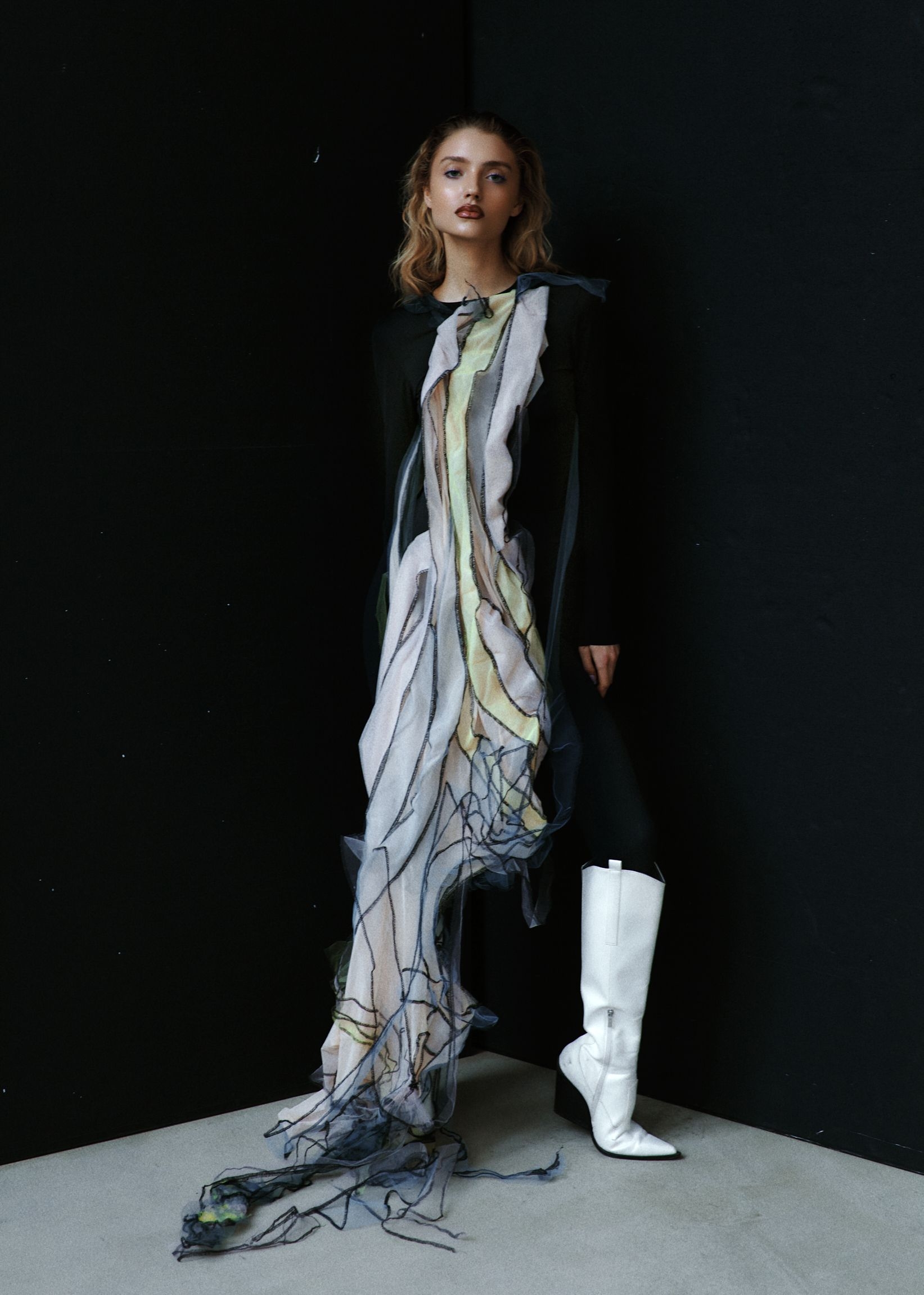 Model Image