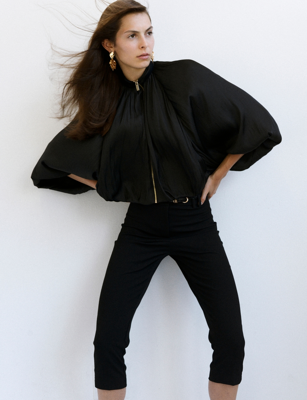 Model Image