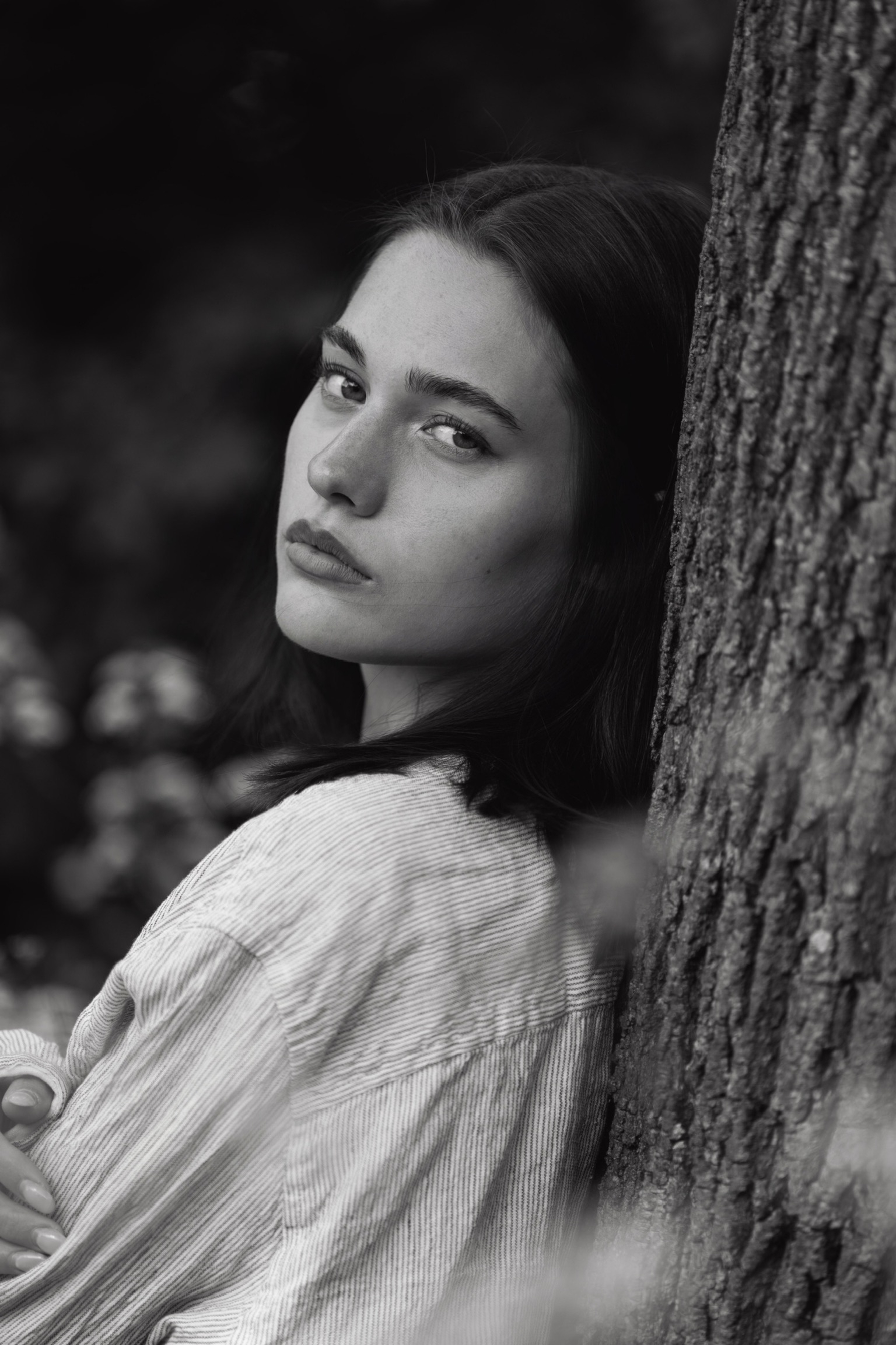 Model Image