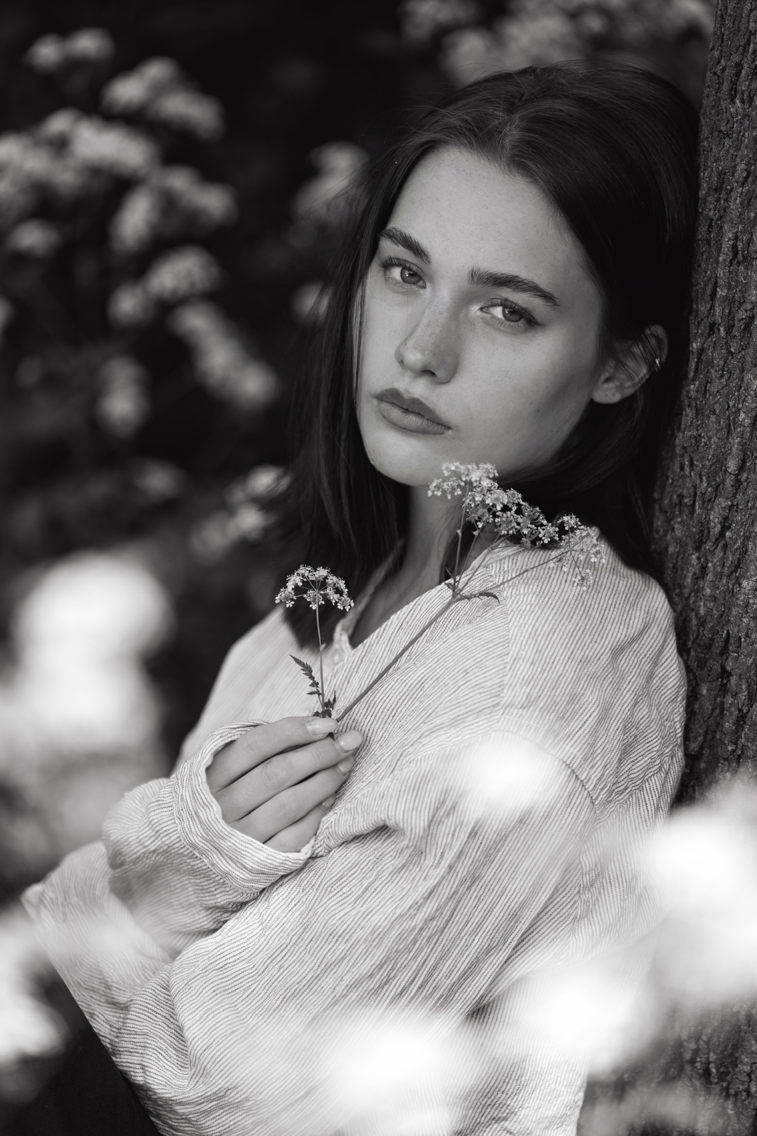 Model Image