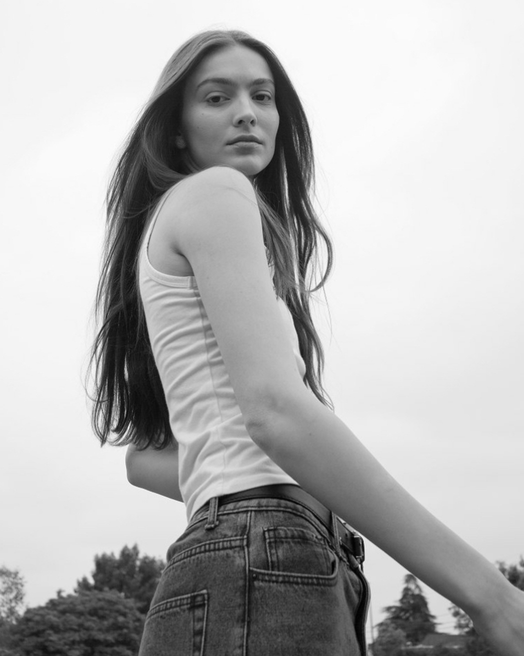 Model Image