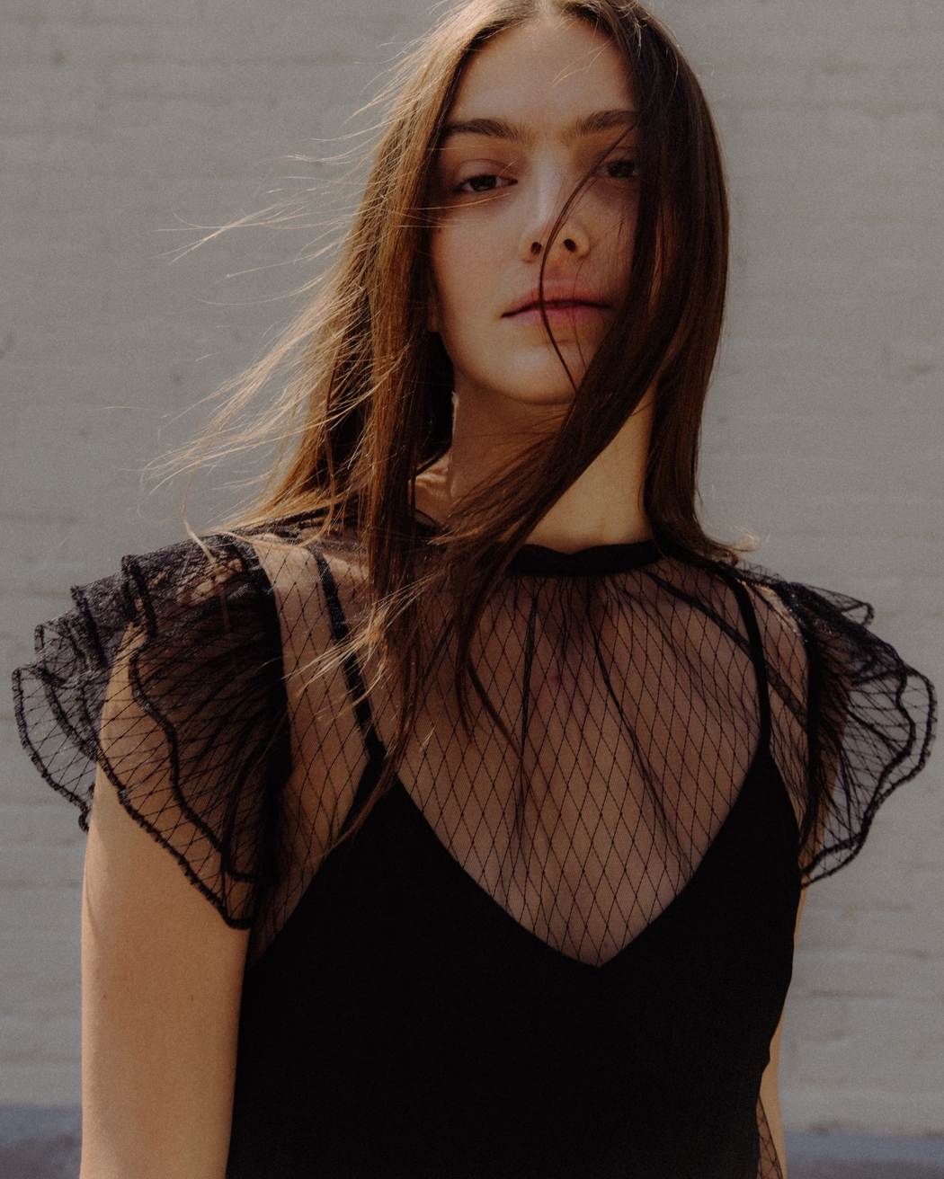 Model Image