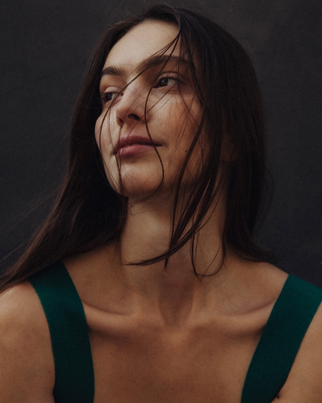 Model Image