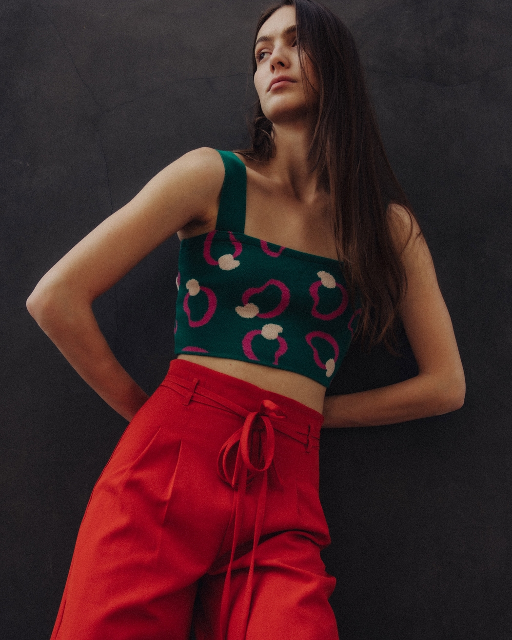 Model Image