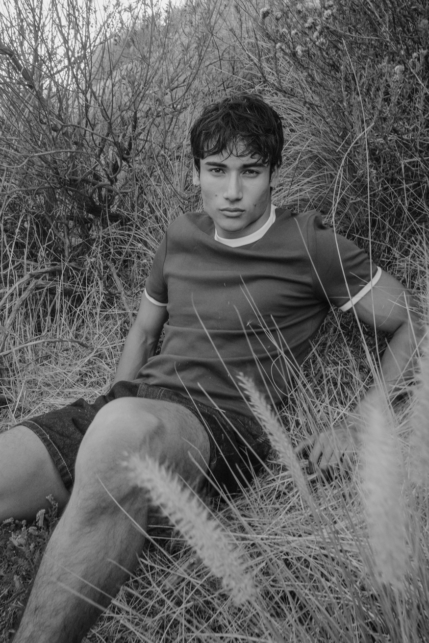 Model Image