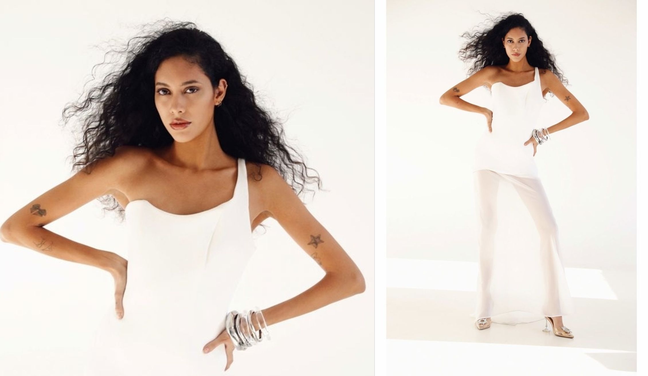 Model Image