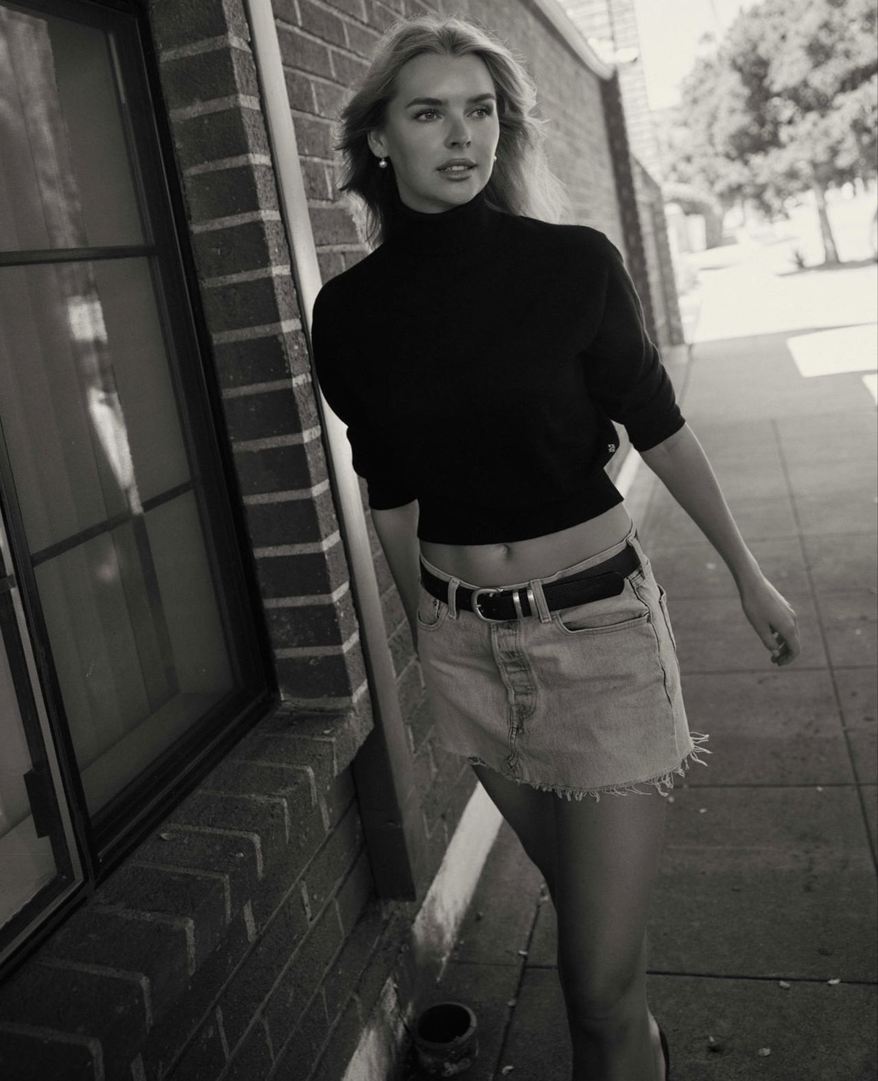 Model Image