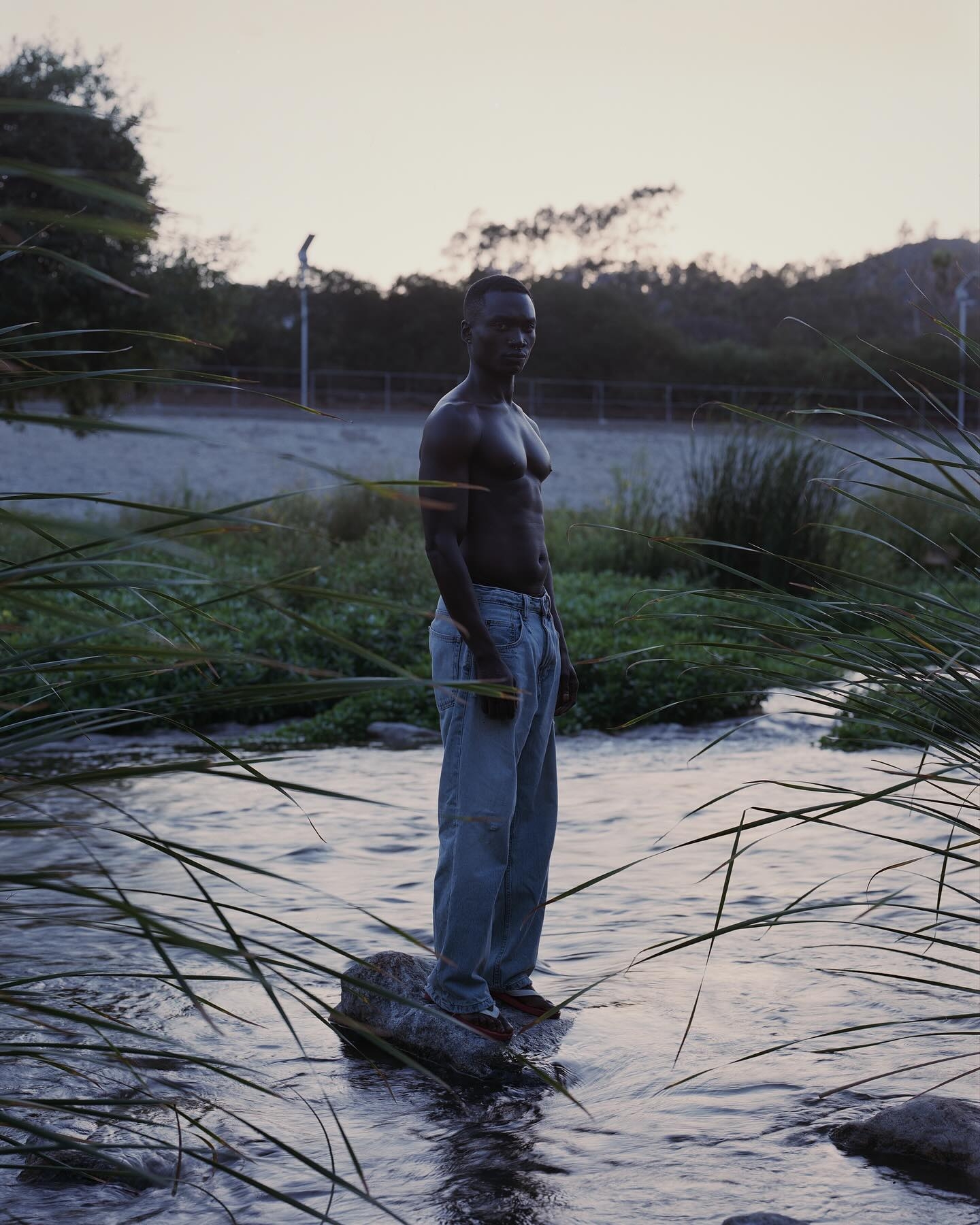 Model Image