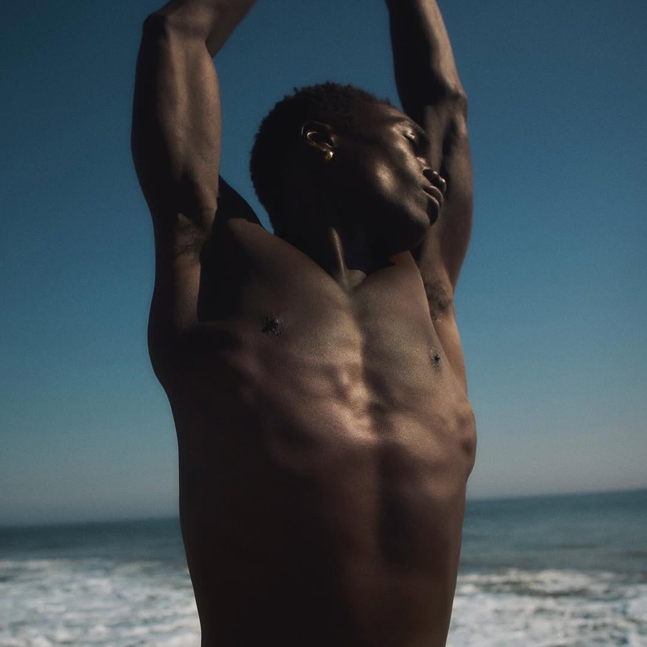 Model Image