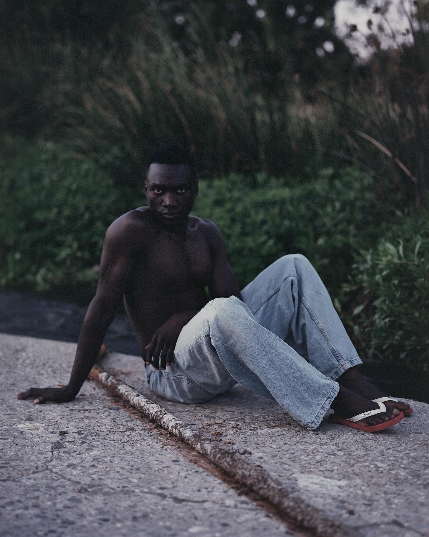 Model Image
