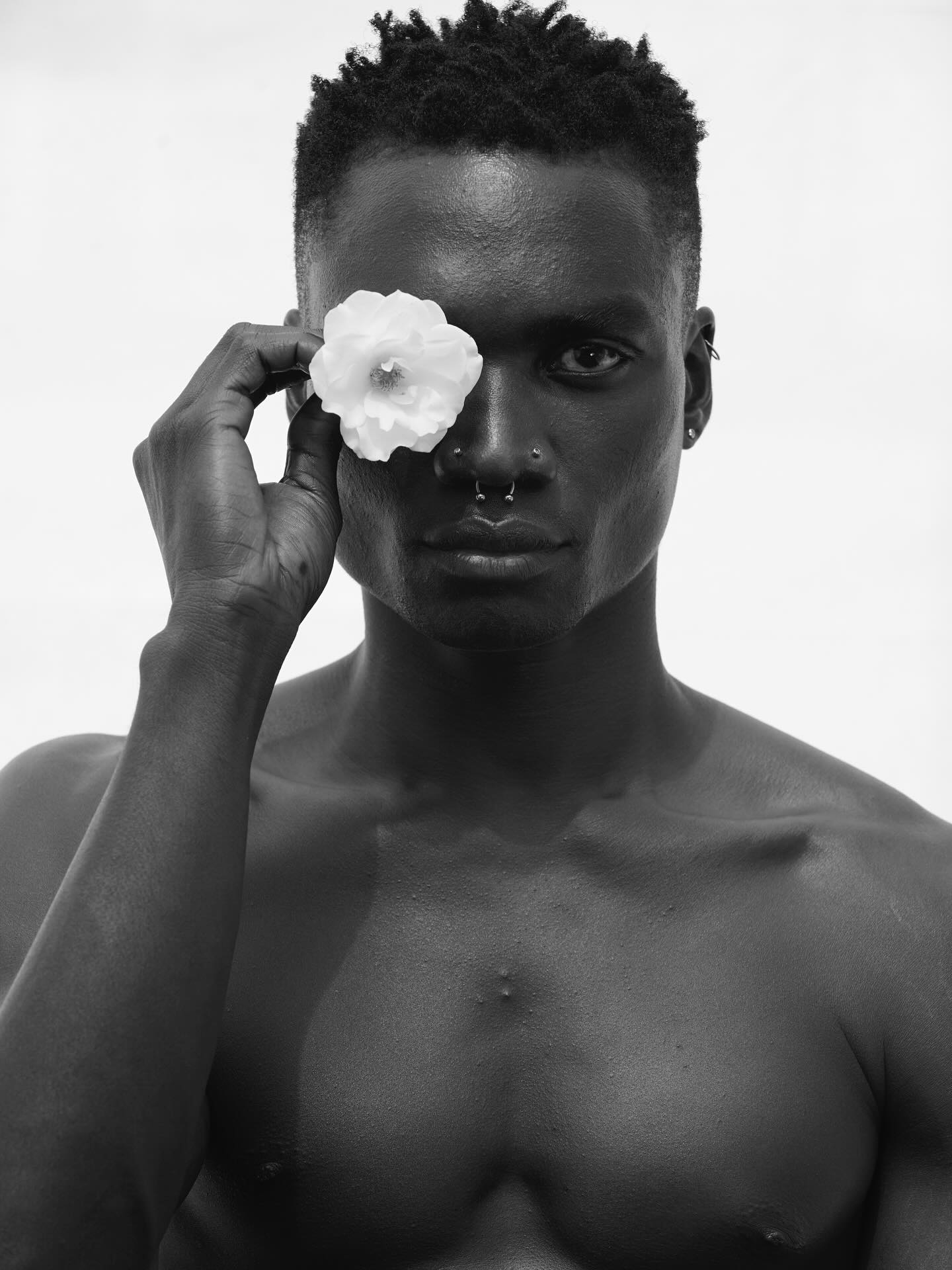 Model Image