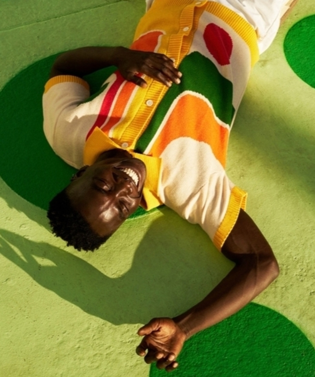 Model Image