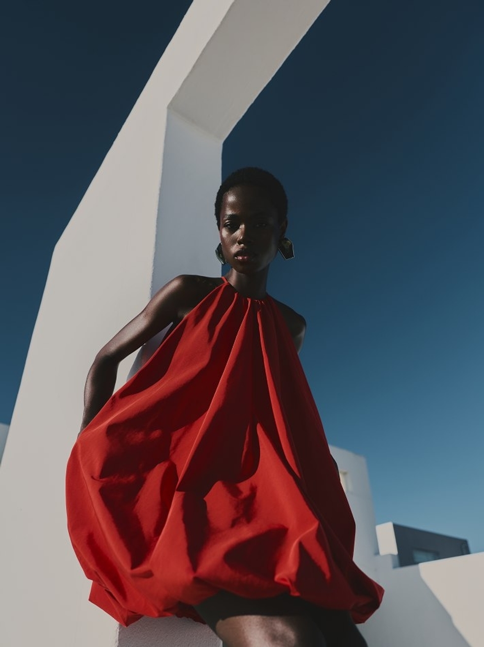 Model Image