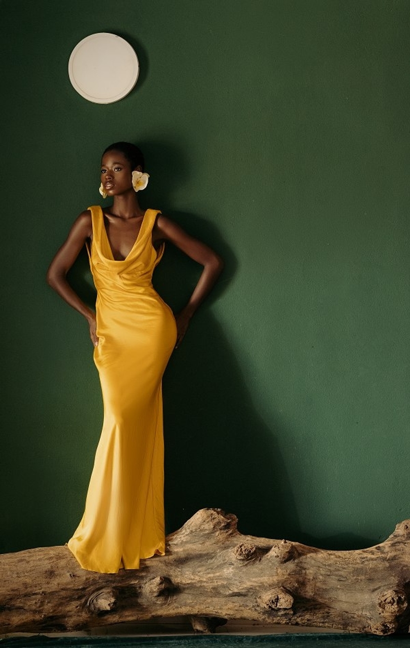 Model Image