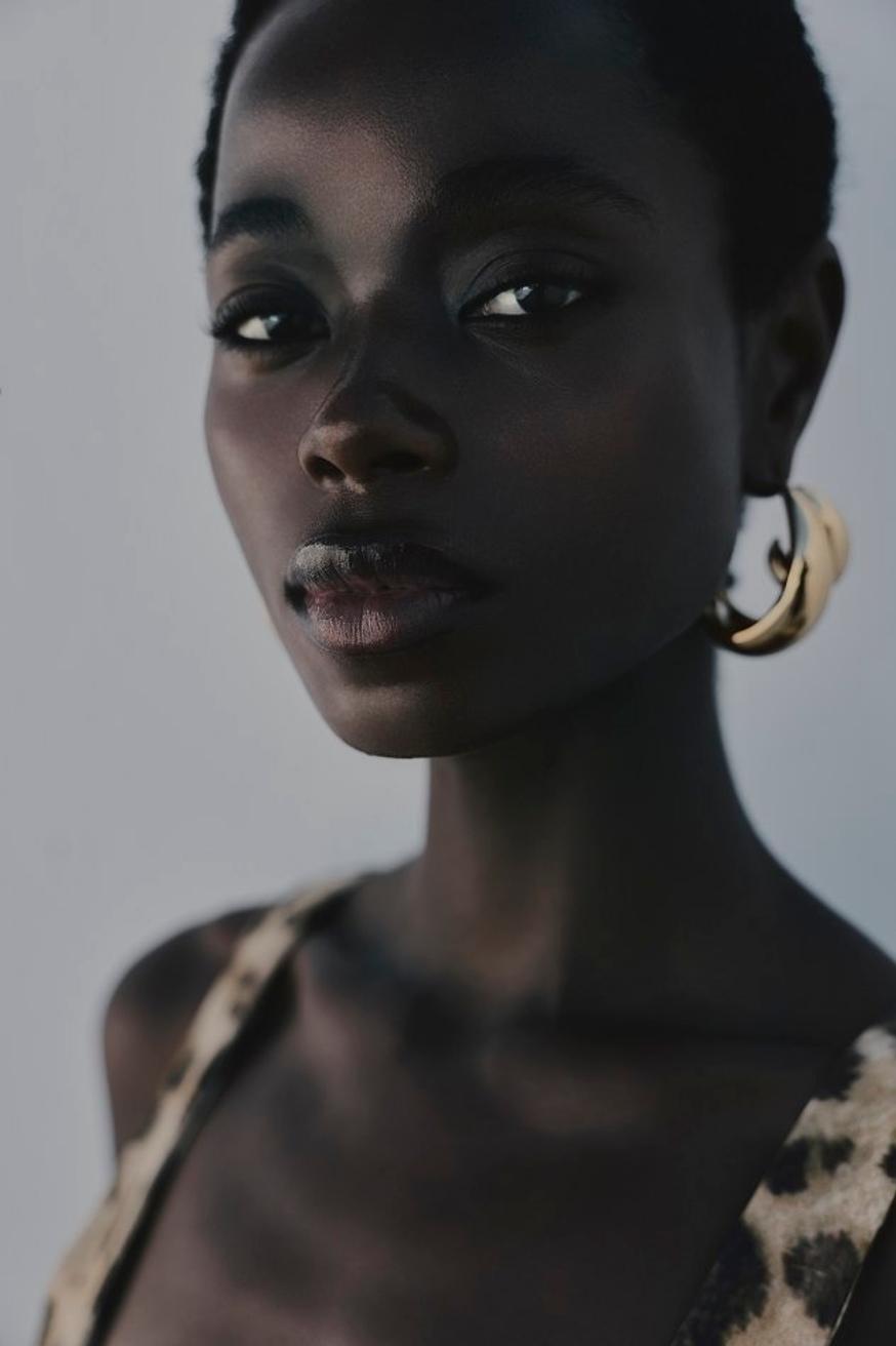 Model Image