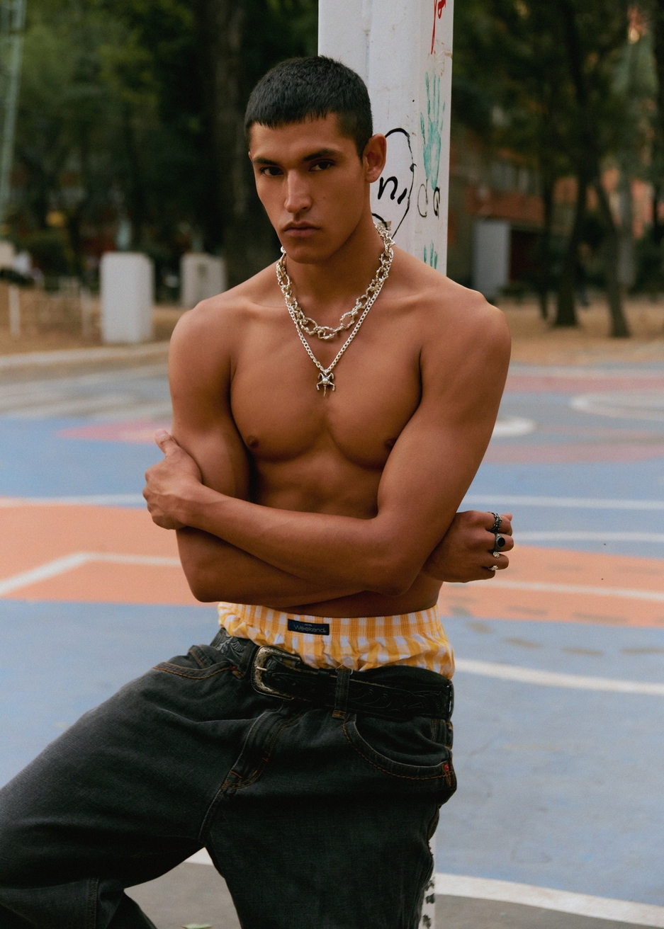 Model Image