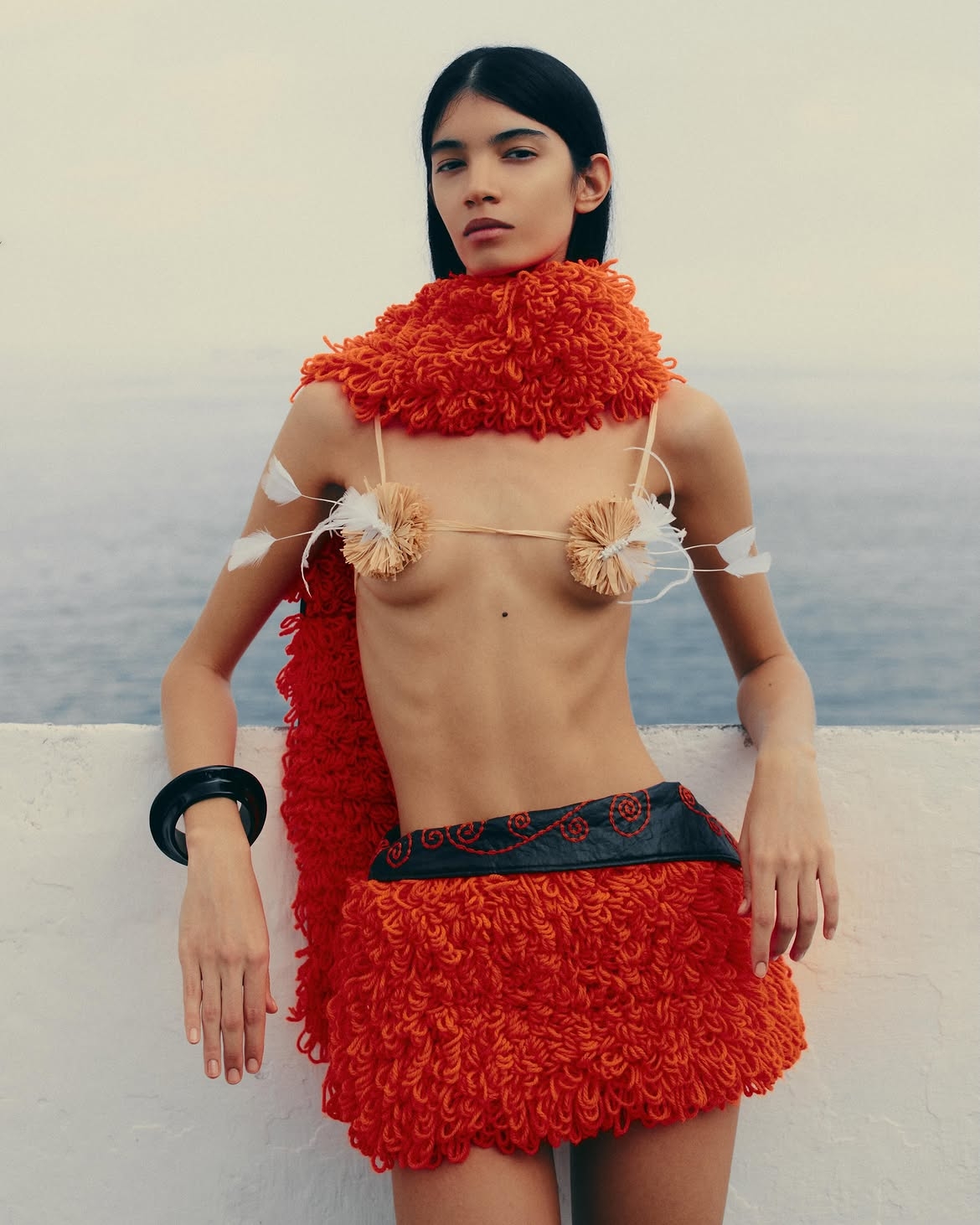 Model Image