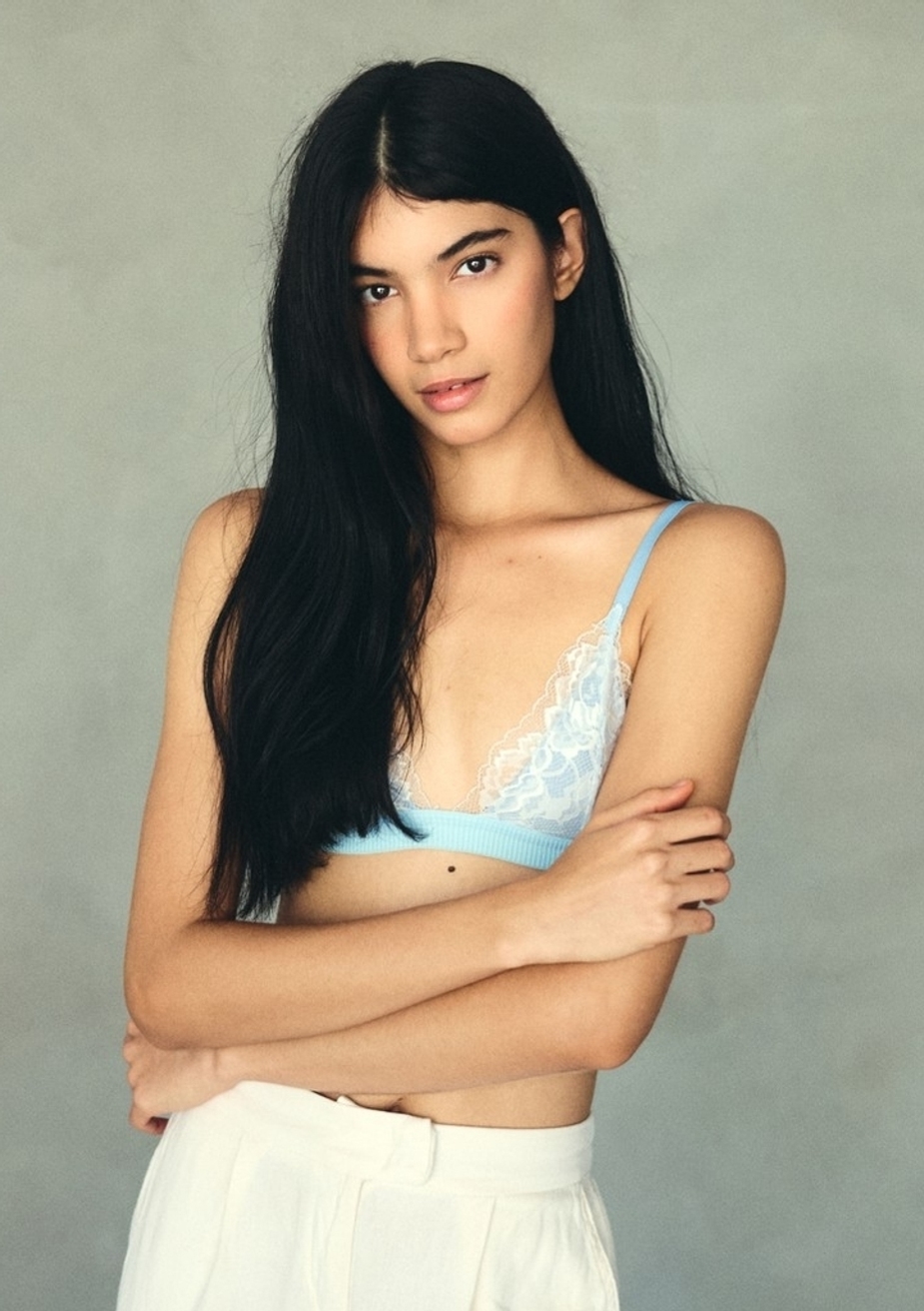 Model Image