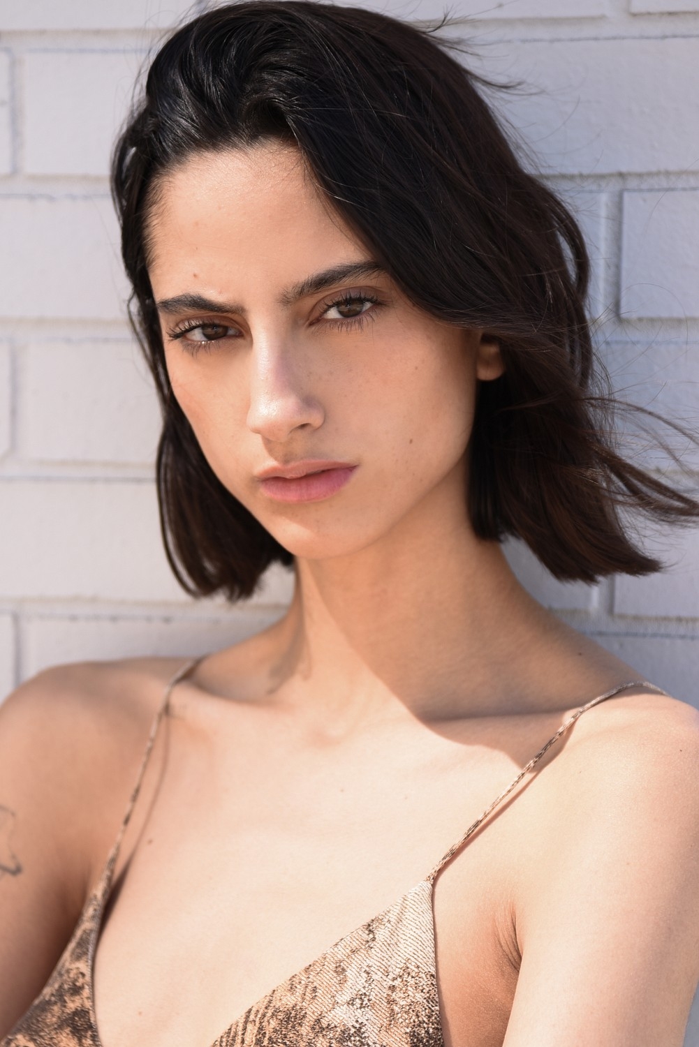 Model Image