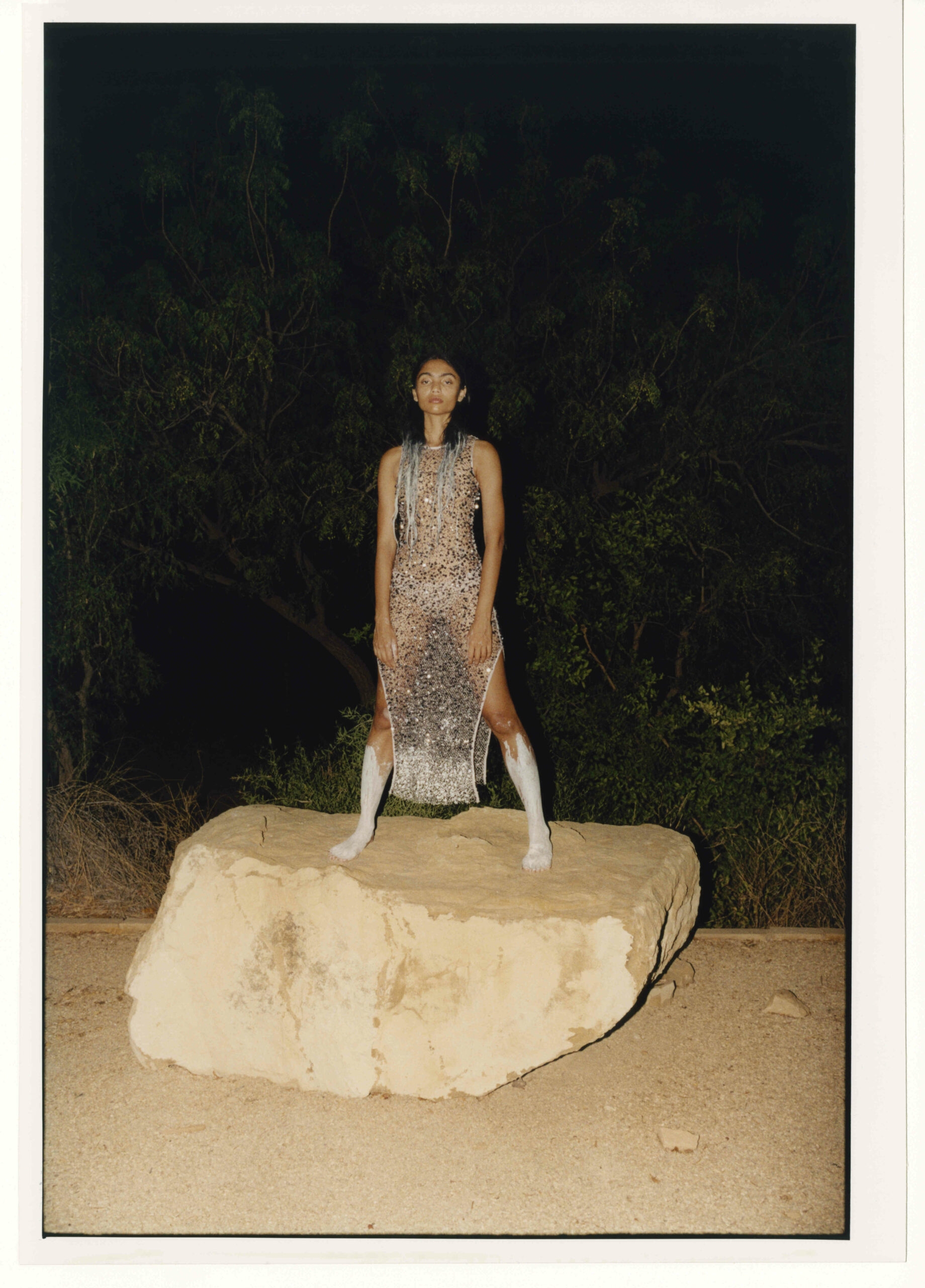 Model Image