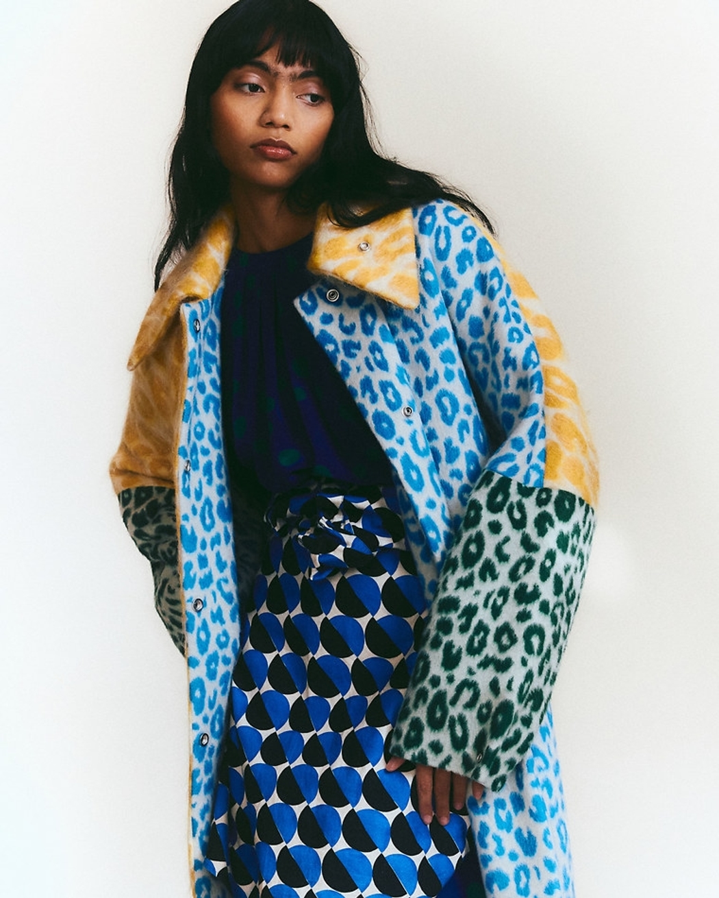 Model Image