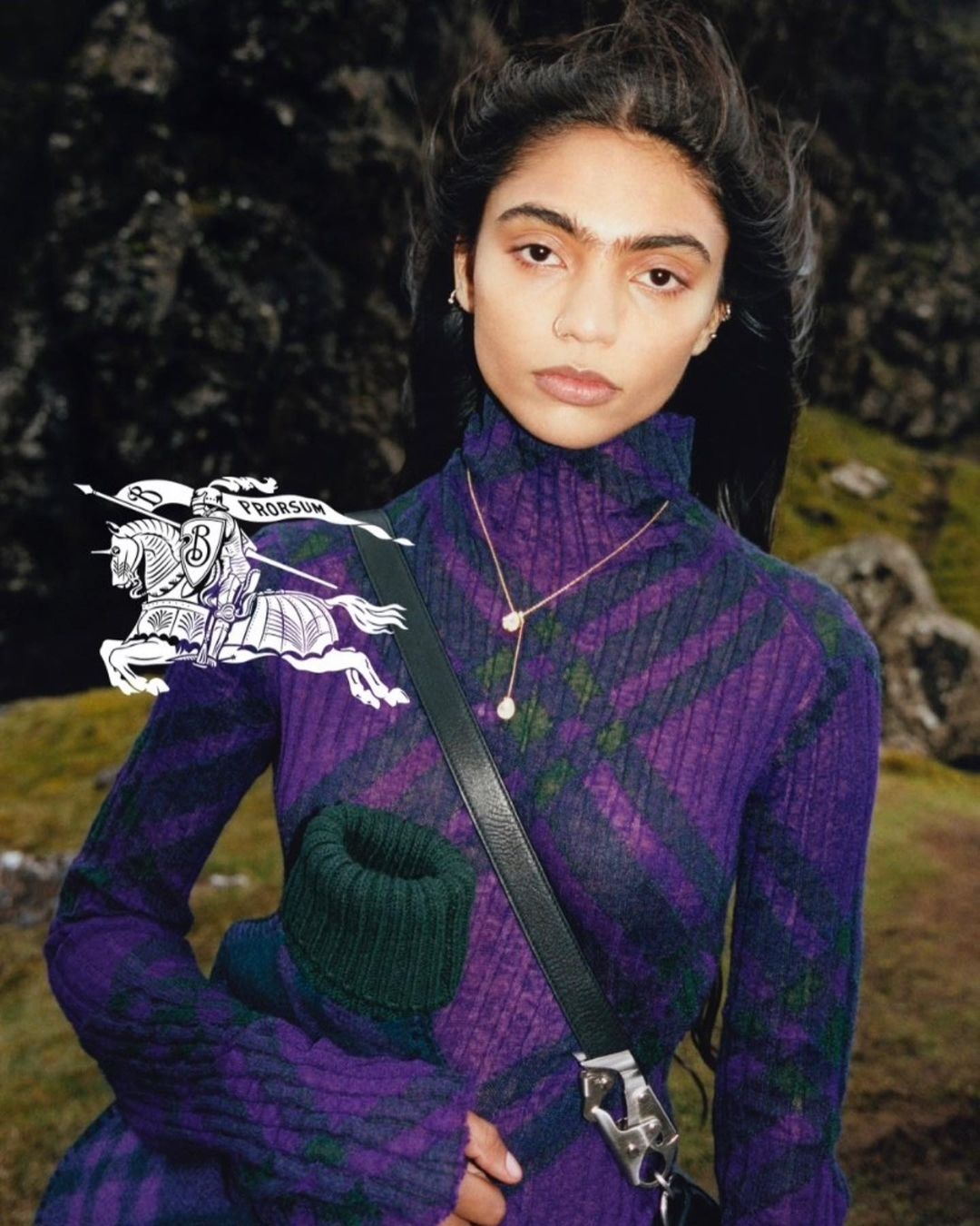 Model Image
