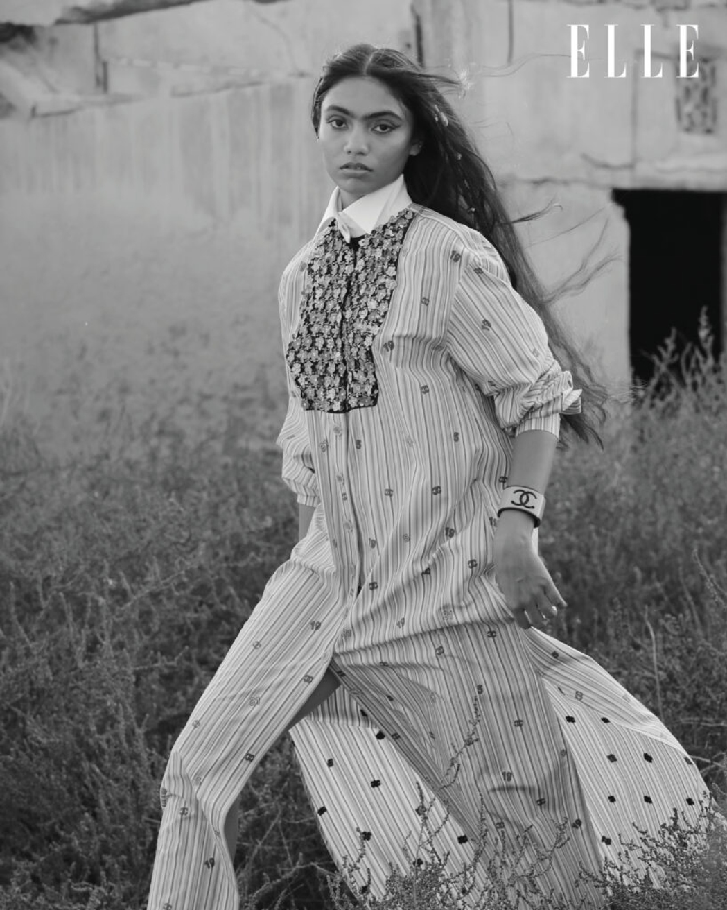 Model Image
