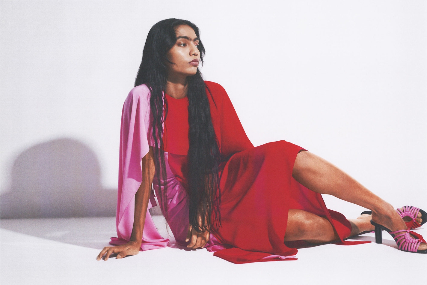 Model Image