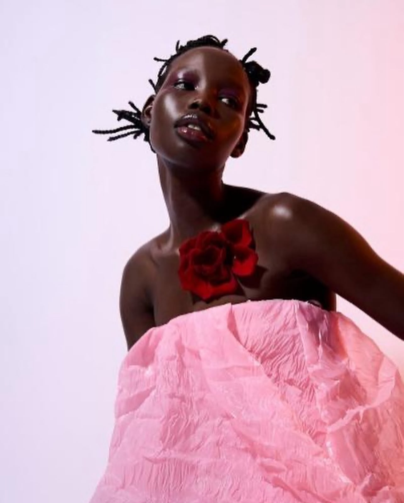 Model Image