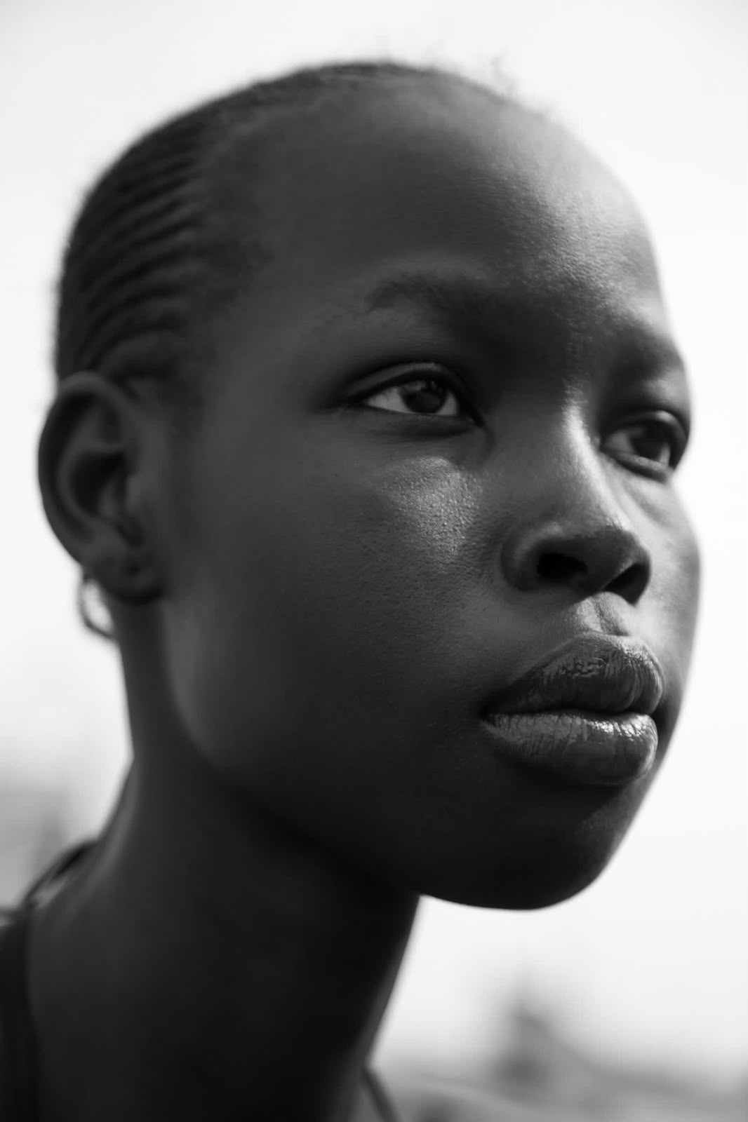 Model Image