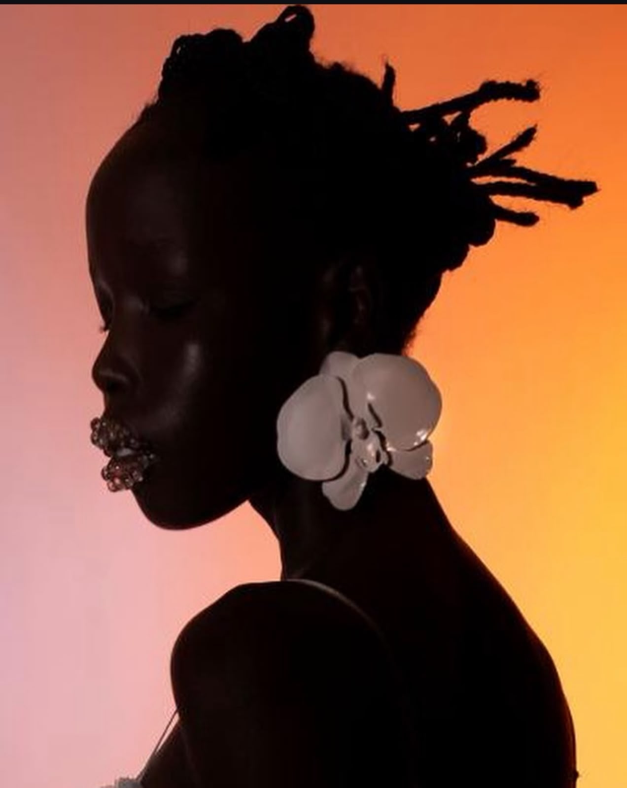 Model Image