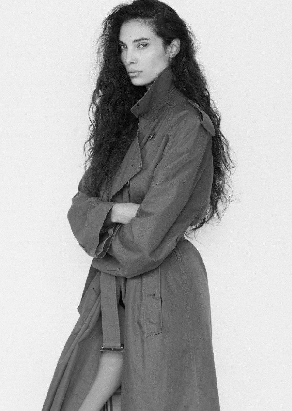 Model Image