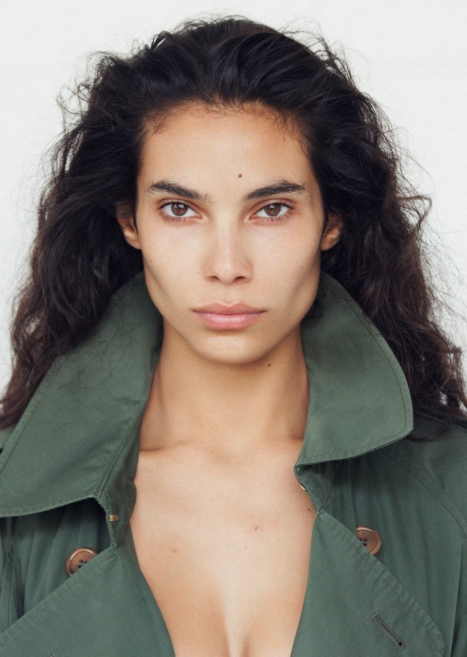 Model Image