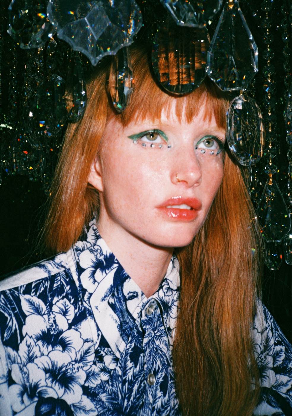 Model Image