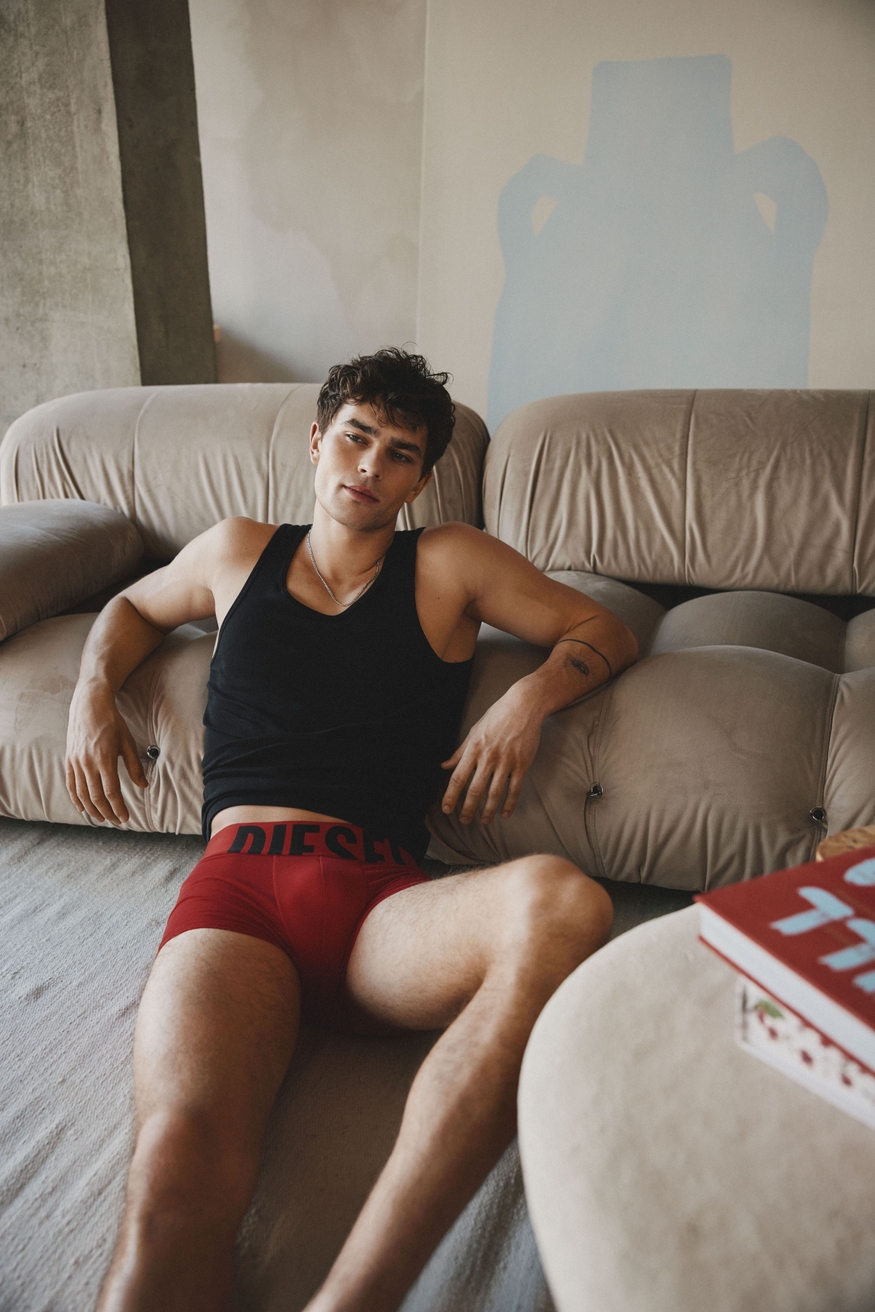 Model Image